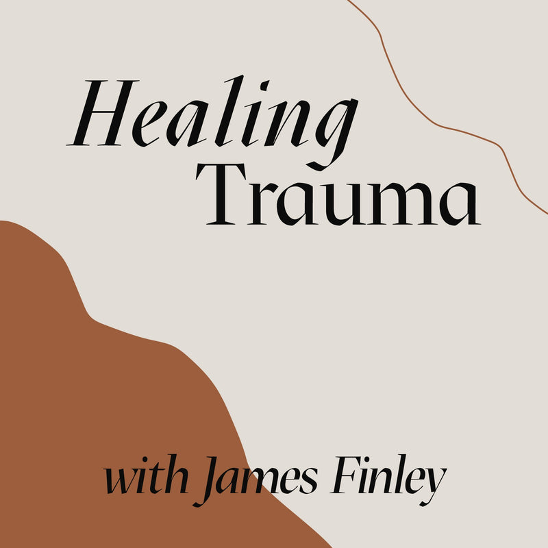 Exploring the Contemplative Dimensions of Healing Trauma ~ MP3