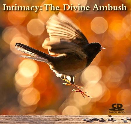 Intimacy: The Divine Ambush ~ CD